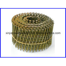 Best Price Galvanized Coil Roofing Nail for Sale